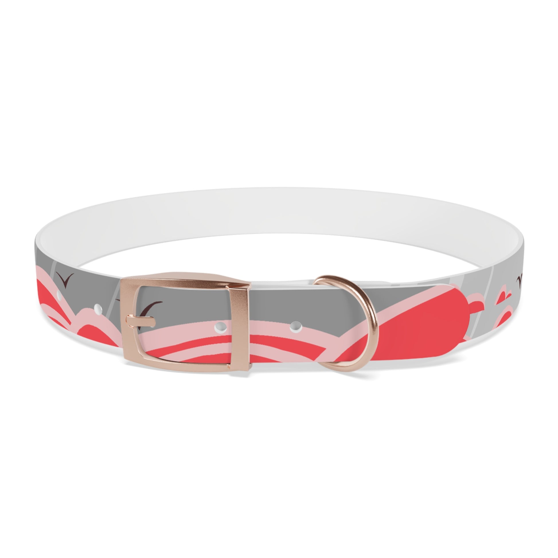 Jasper Dog Collar